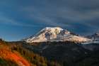 Autumn huckleberry bushes and Mount Rainier n Mount Rainier National Park, Washington State, USA Art Print